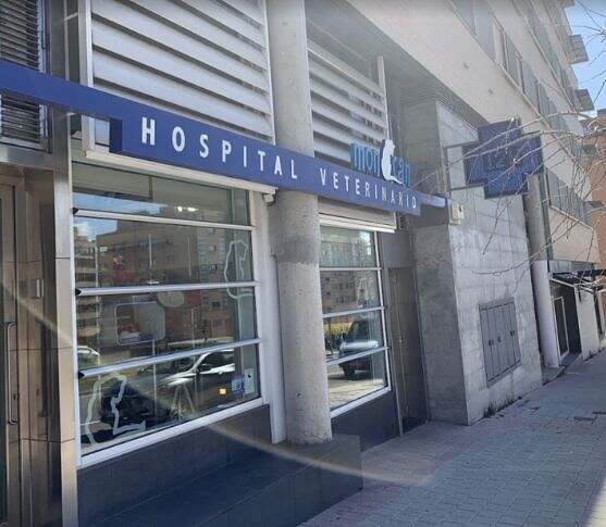 Monasterio de El Escorial 55 / Local en alquiler