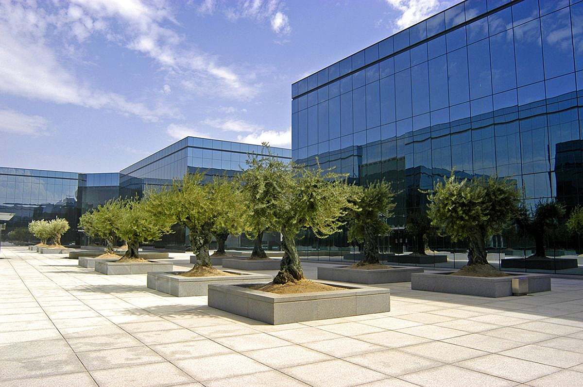 Sede Orange / Alquiler